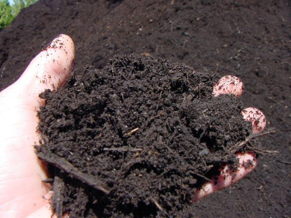 Compost (cubic yard)